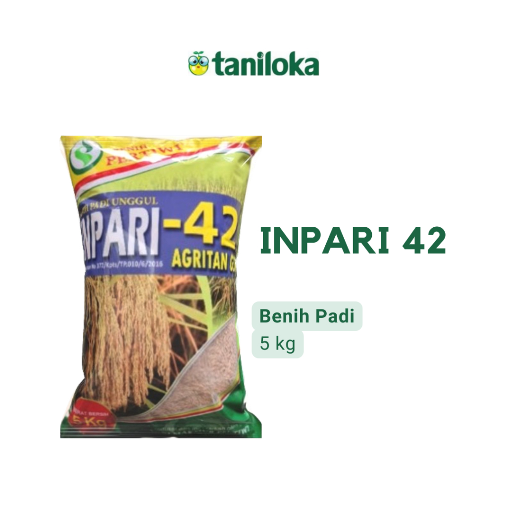 Benih Pertiwi - Benih Padi Inpari 42 (5 Kg)