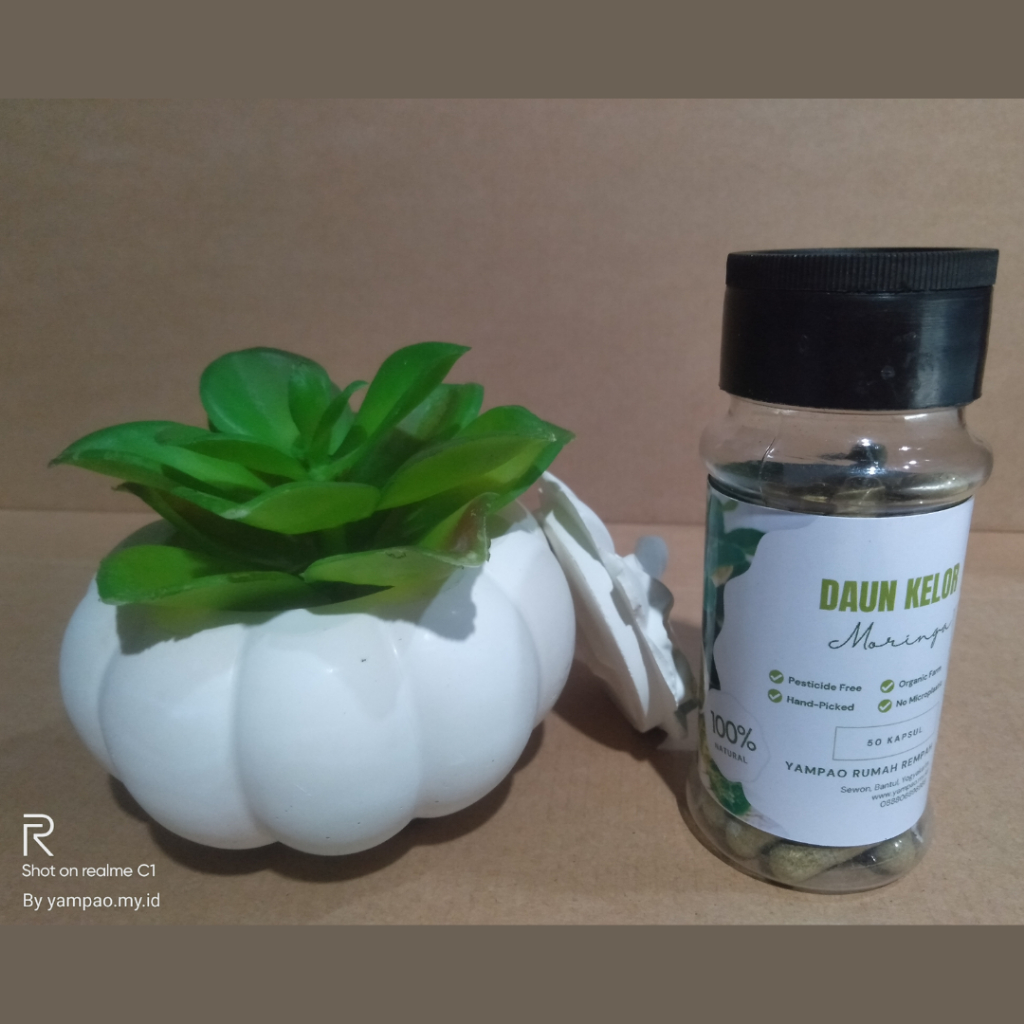 

YAMPAO RUMAH REMPAH KAPSUL DAUN SIRSAK ASLI ORGANIK 100% ALAMI TERBUAT DARI DAUN SIRSAK YOGYAKARTA