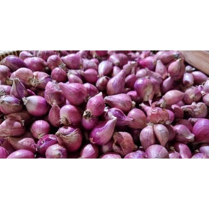 

BAWANG MERAH BREBER CAMPUR