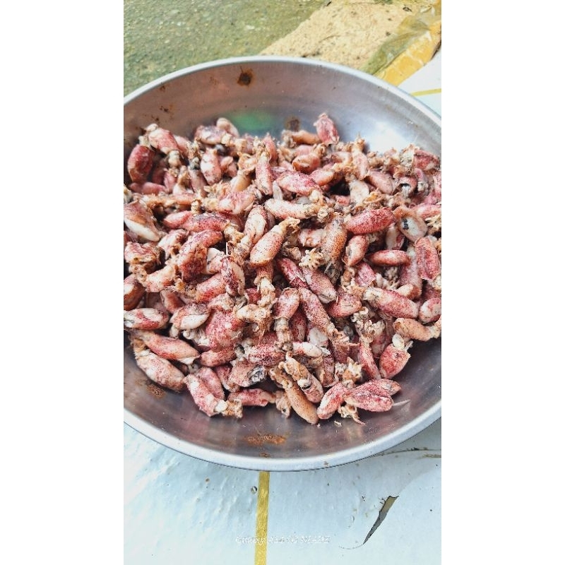 

(250g) baby cumi rebus darat kering 250 gram