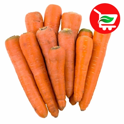 

TANI BALAP MALANG 87 Sayur Wortel Lokal 500g - Grosir Sayur Produk Malang