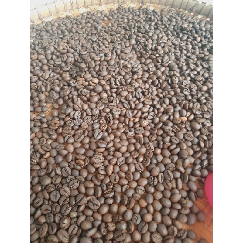 

biji kopi robusta temanggung 1kg