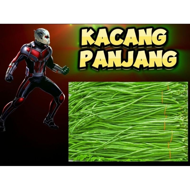 

kacang panjang 250gram