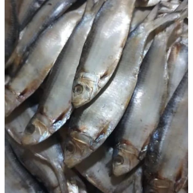 

Asin tembang /50g
