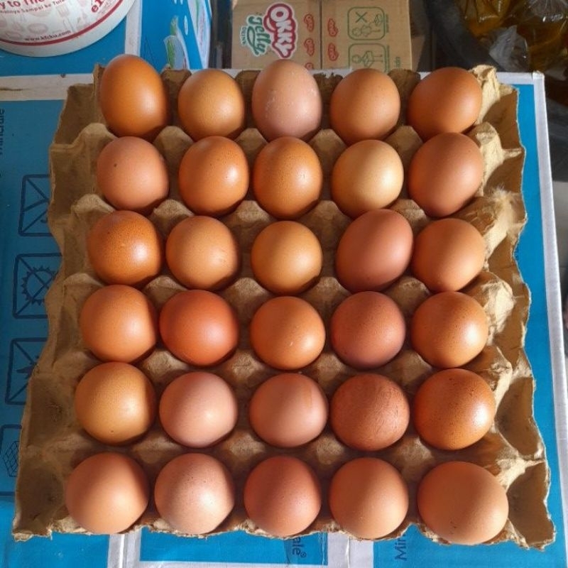 

Telur 1 papan isi 30 buah