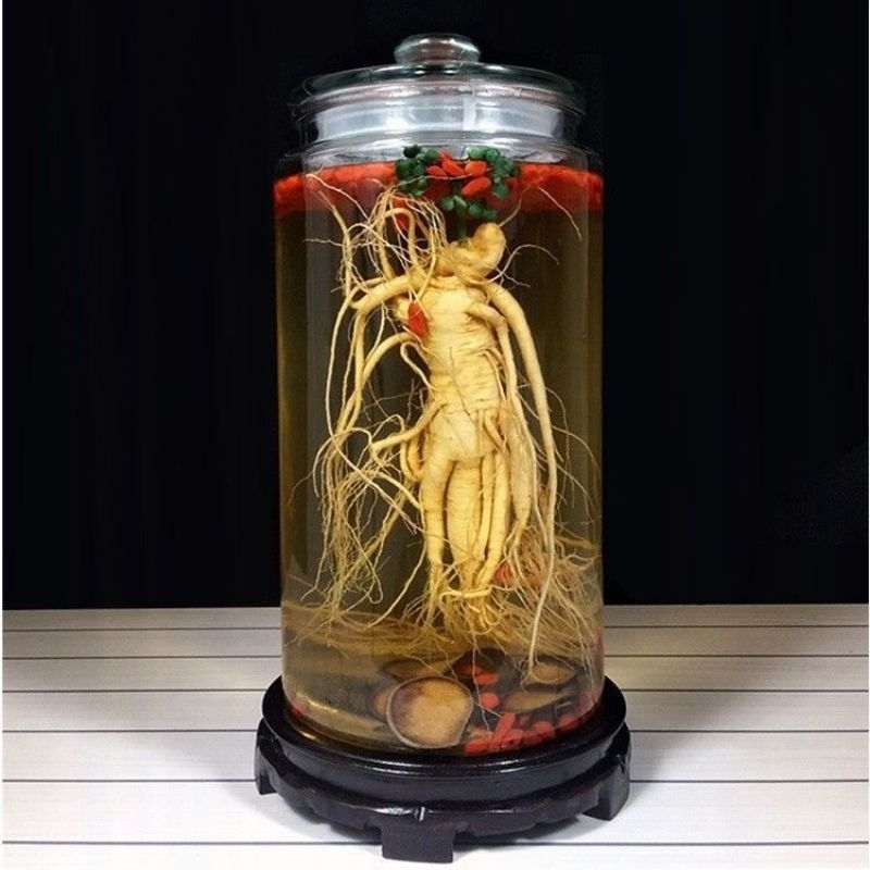 

Ginseng besar 200 gram original