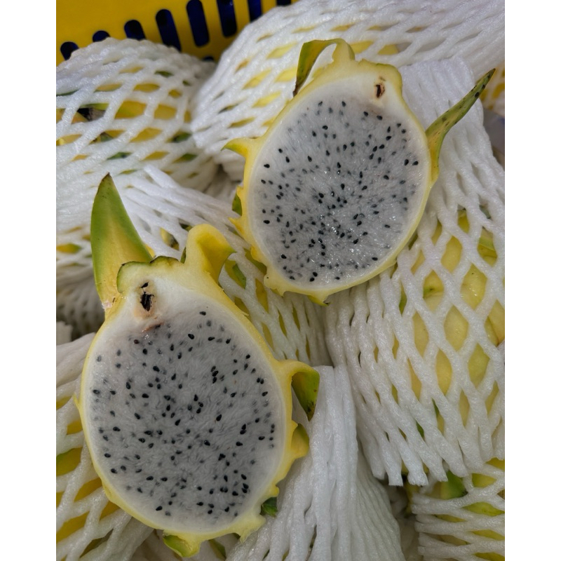 

Buah naga Kuning 1kg
