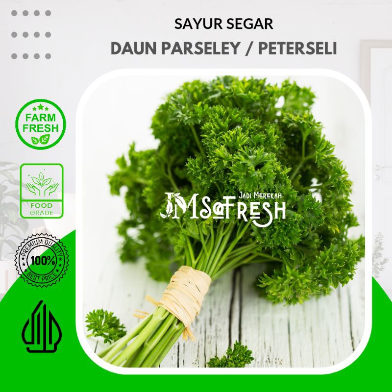

[JM_SoFresh] Daun Parsley / Peterseli 1 ikat