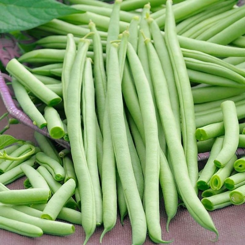 

BUNCIS PER 250gram