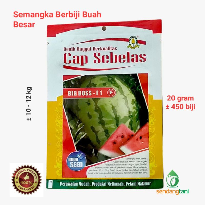 Semangka BIG BOSS F1 20 gr Benih Bibit Lorek Daging Merah Berbiji Tipe Nani Cap Sebelas