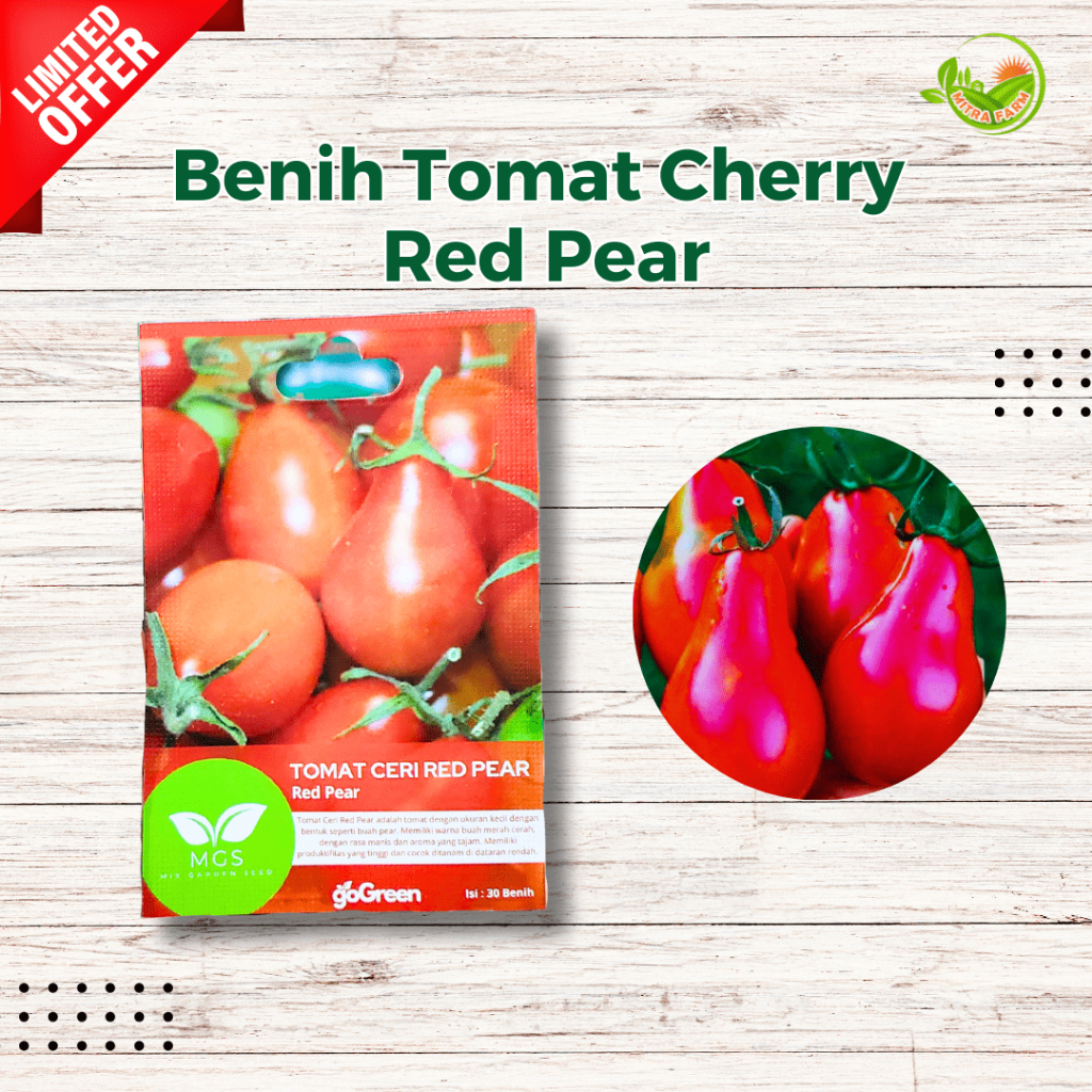 Benih Tomat Ceri RED PEAR/Benih Tomat Cherry Red Pear/Tomat Cherry Red Pear Benih Murah