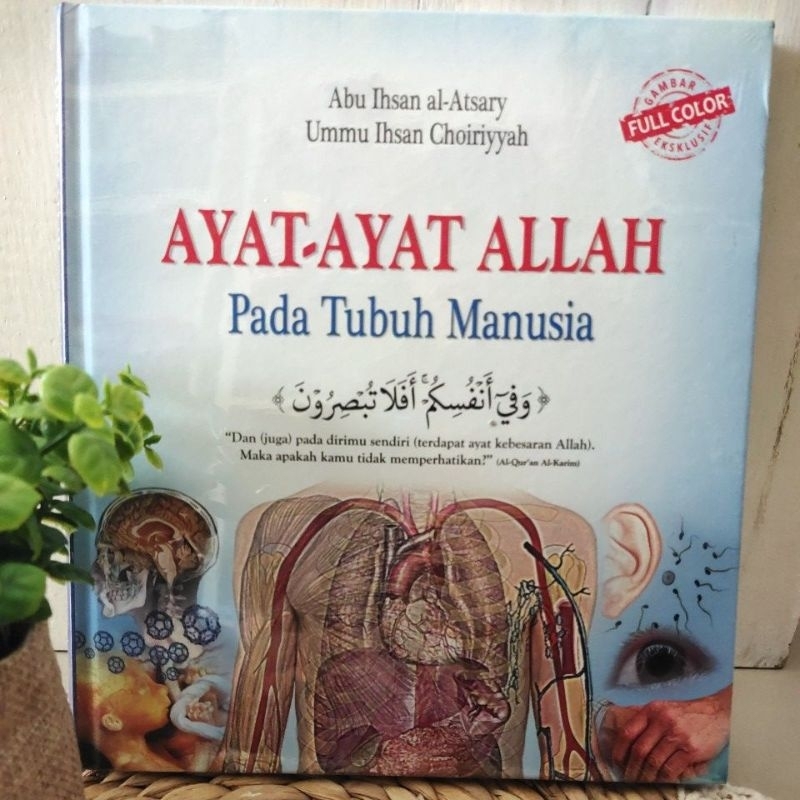 Ayat-ayat Allah Pada Tubuh Manusia
