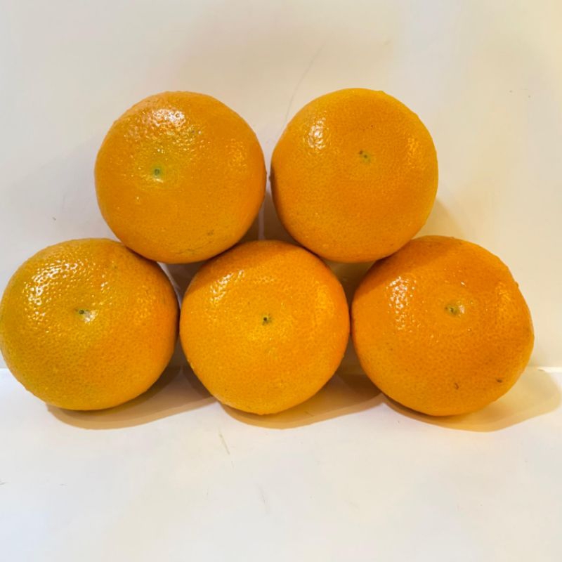

Jeruk Murchot Citrus 1kg