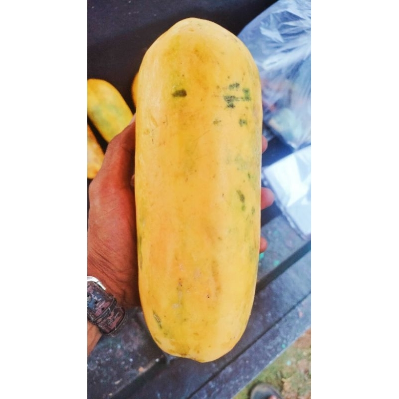 

Pepaya California-Pepaya Manis Harga Per 1 Biji
