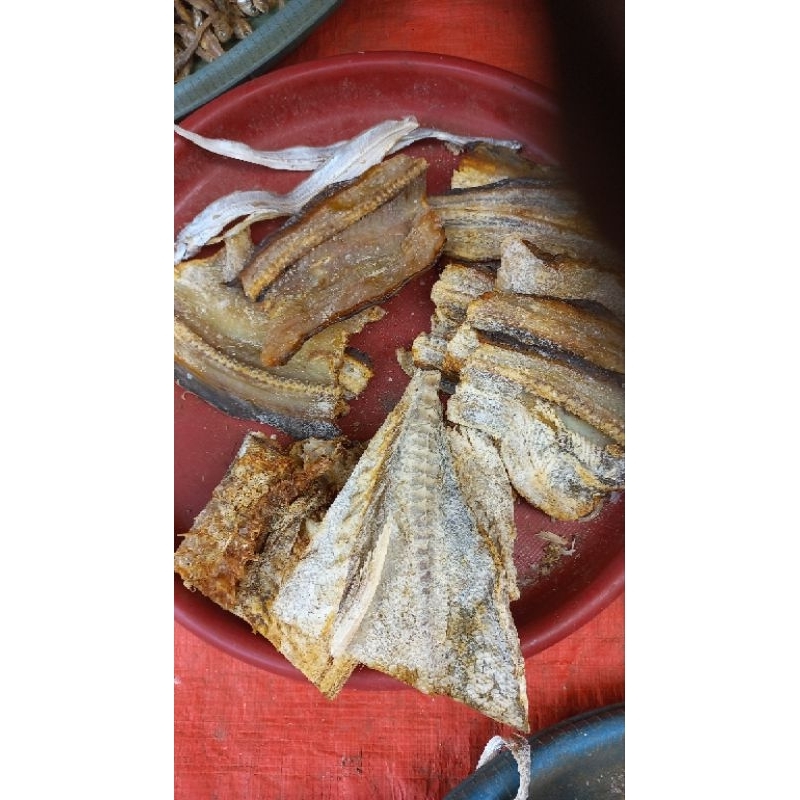 

Ikan asin Gebur daging tebal khas Bengkulu 1 kg