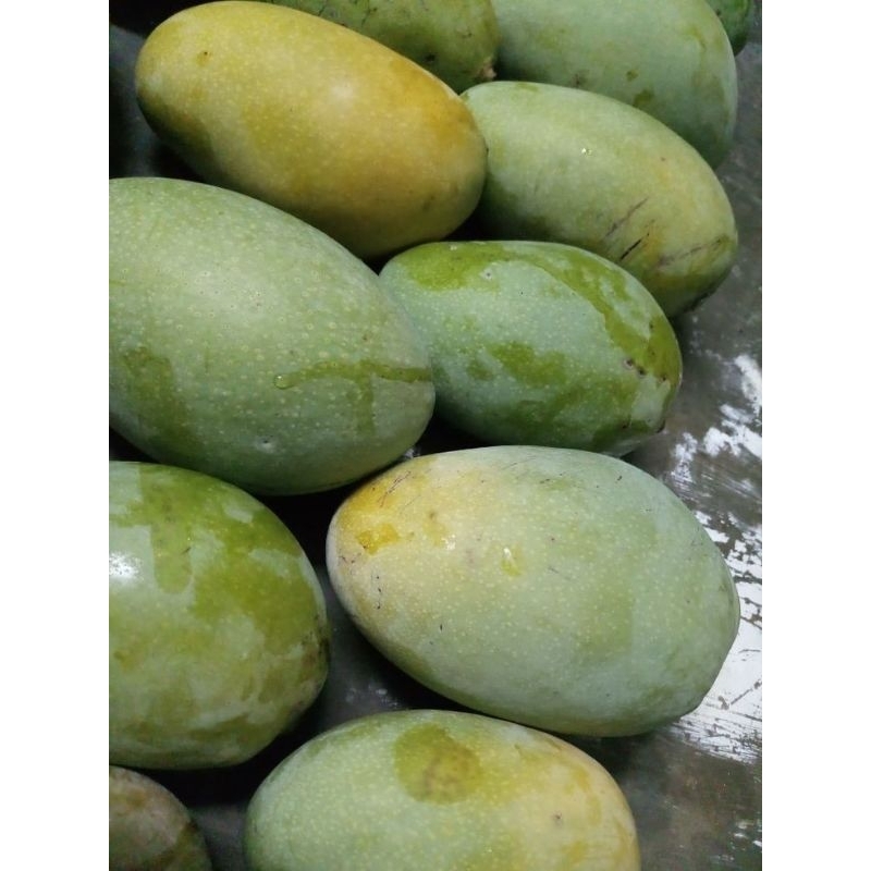 

Mangga harumanis