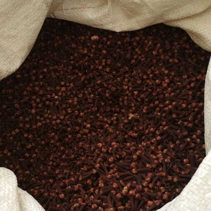 

CENGKEH LOKAL KERING REMPAH PREMIUM 10GRAM - 250 GRAM