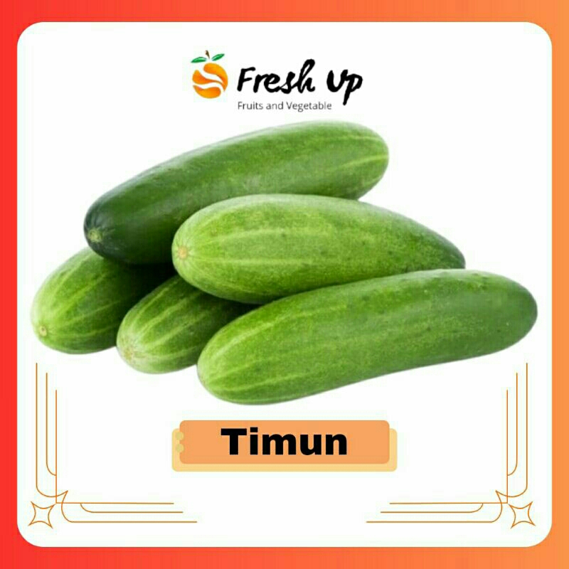 

Timun Super Fresh 500 gr | FreshUp
