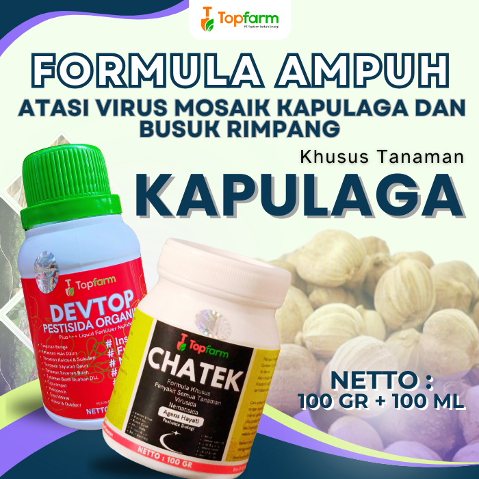 Pestisida Topfarm / Obat Buat Buah Kapulaga / Obat Hama Buah Kapulaga / Obat Semprot Buah Kapulaga /