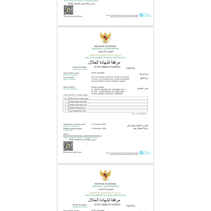 Pempek palembang isi 30 (full adaan)