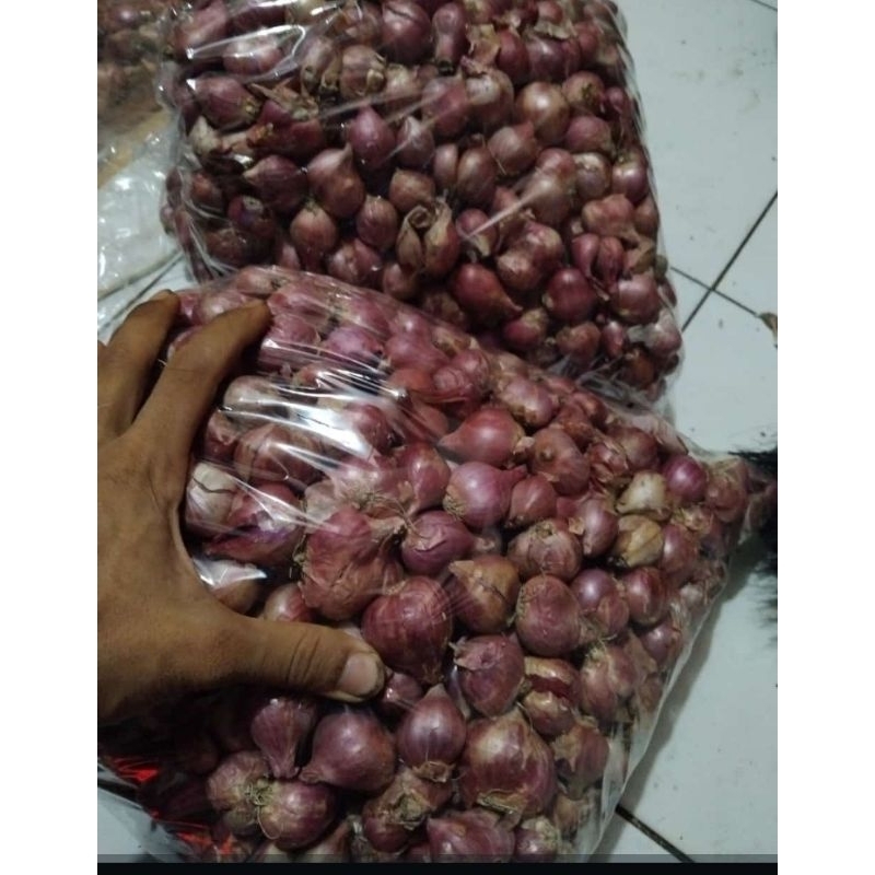 

bawang merah per 1kg
