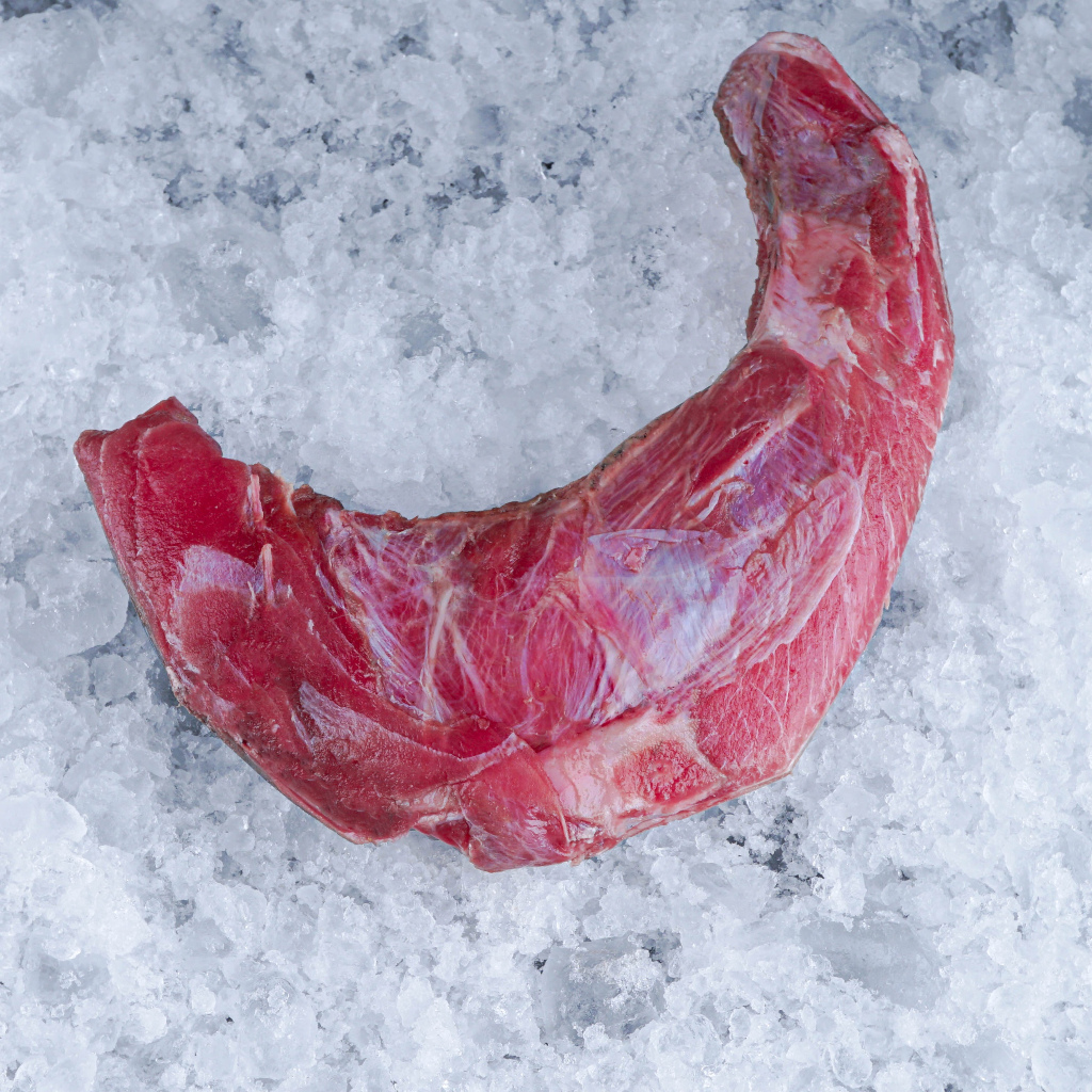 

Rahang Tuna size Jumbo