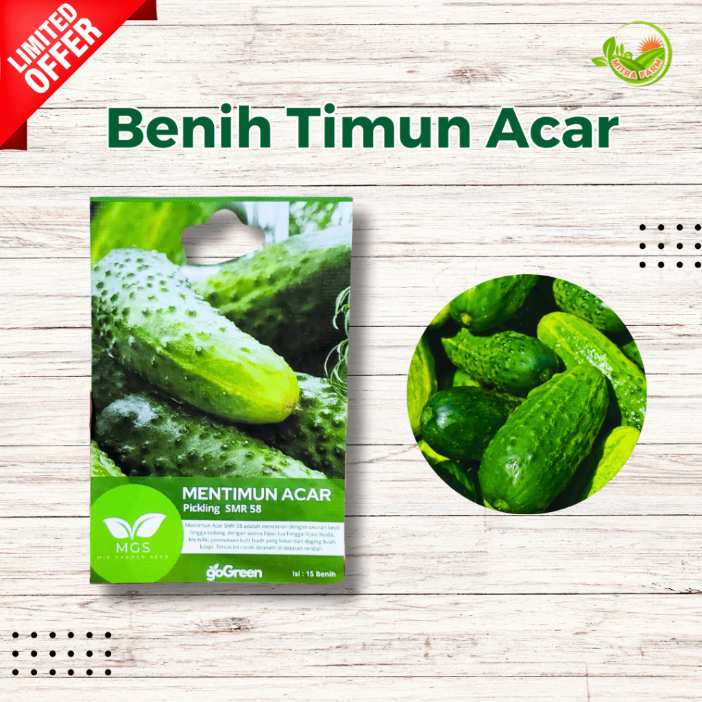 Benih Mentimun Acar/Timun Acar-Benih Timun Murah