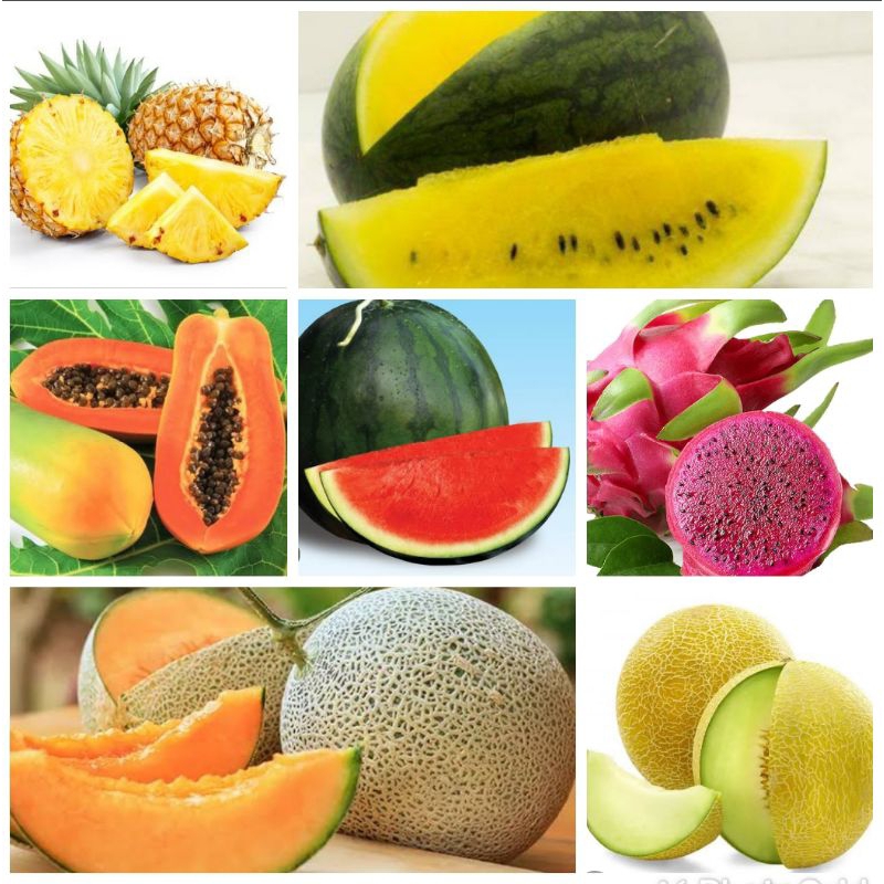 

BUAH SEGAR FRESS HARGA PER 1KG