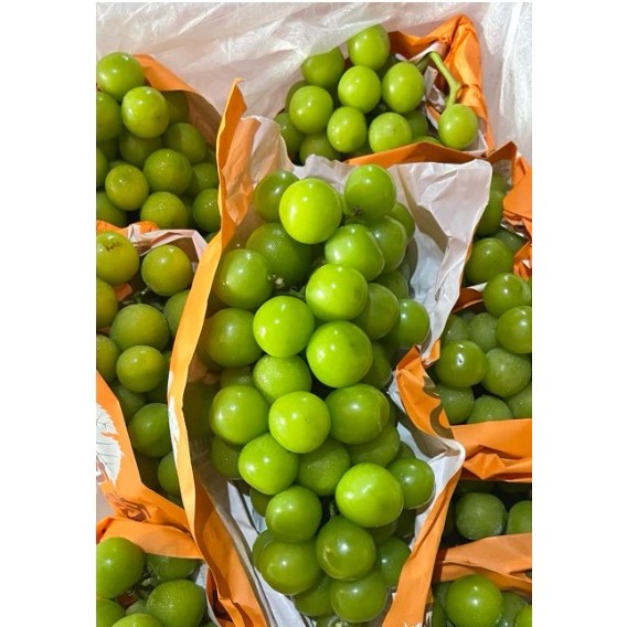 

BEST SELLER Anggur Hijau Shine Muscat Super Import