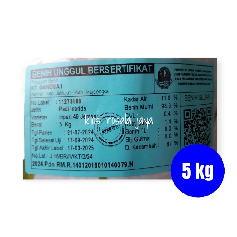 Benih Padi Unggul Terbaru INPARI 49 JEMBAR