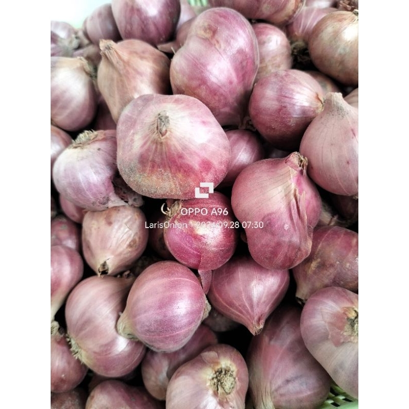 

bawang merah super dor 1kg