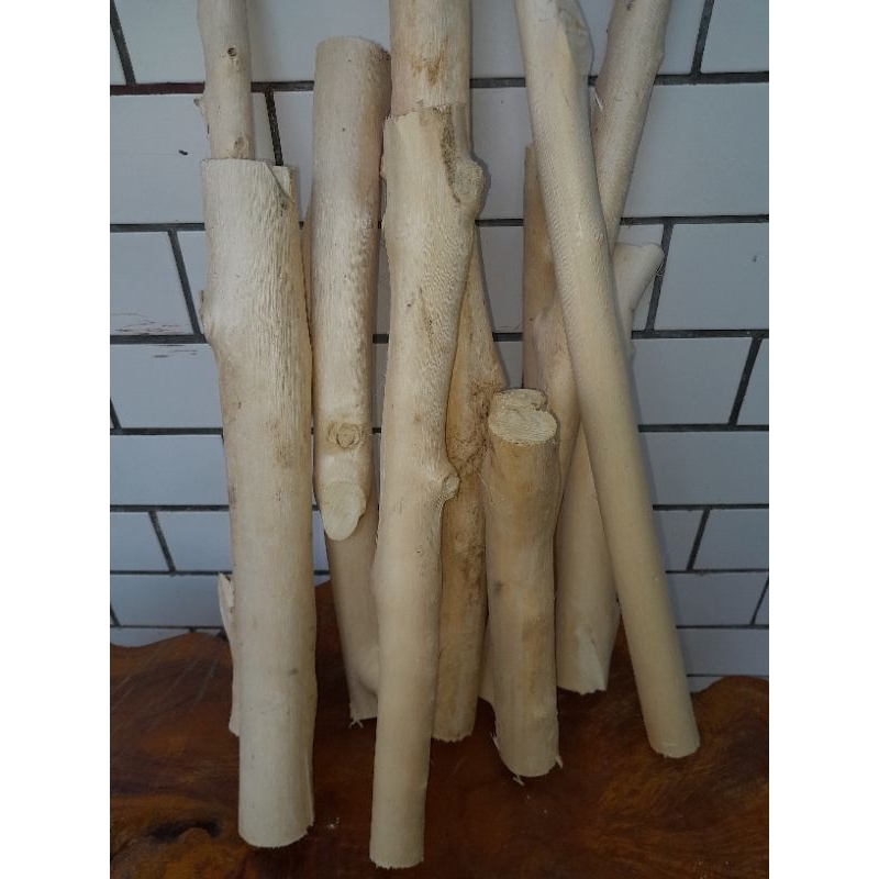 Batang kayu gaharu aqularia malacensis 1kg