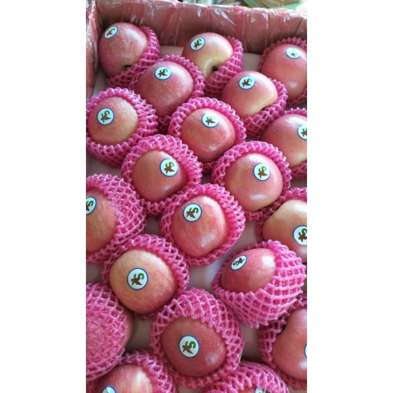 

Ecer Apel Fuji Kemasan 1kg