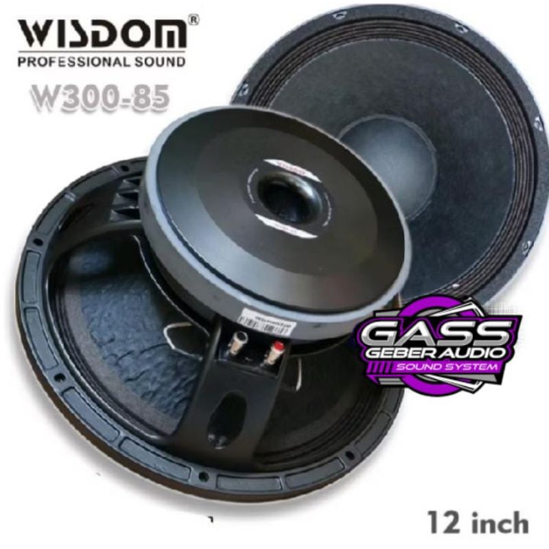 Speaker 12 inch WISDOM W300-85
