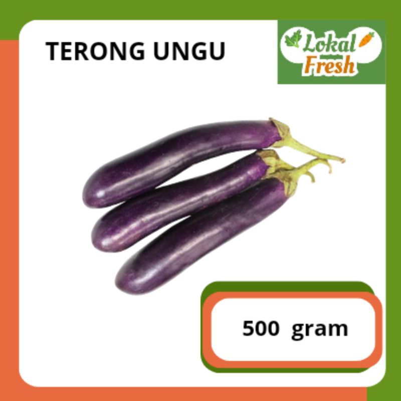 

TERONG UNGU | 500 GR | LOKAL FRESH