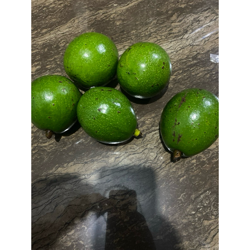 

alpuket miki 1 kg isi 3-5 langsung dari petani