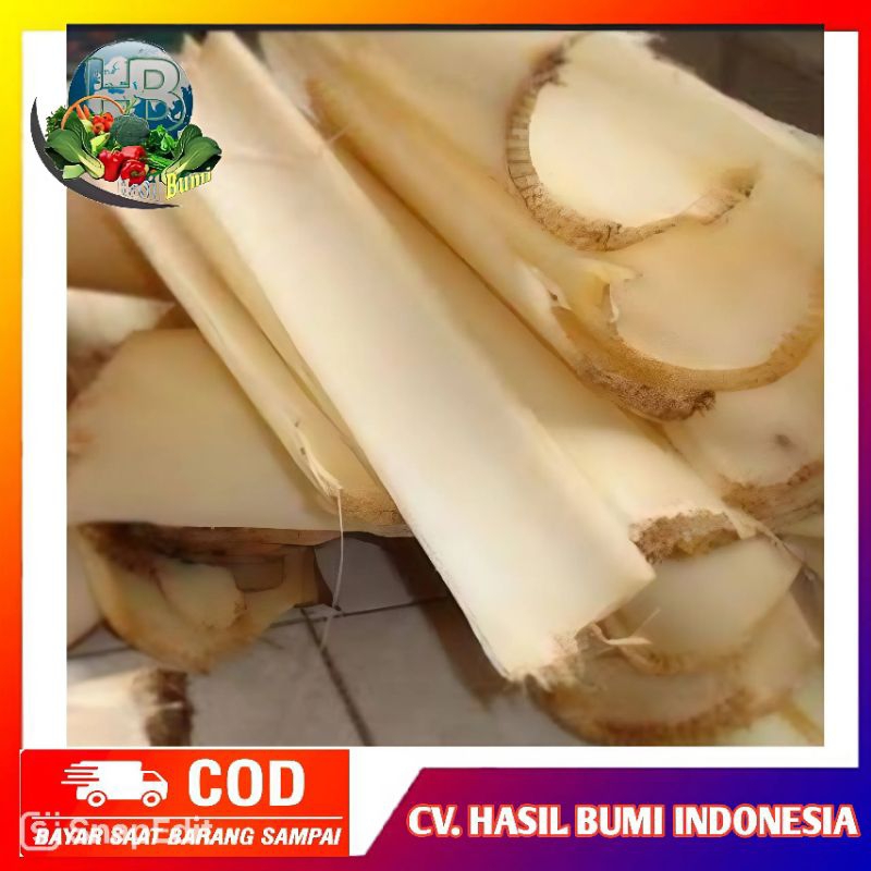 

Pelepah pisang basah segar panjang 30cm