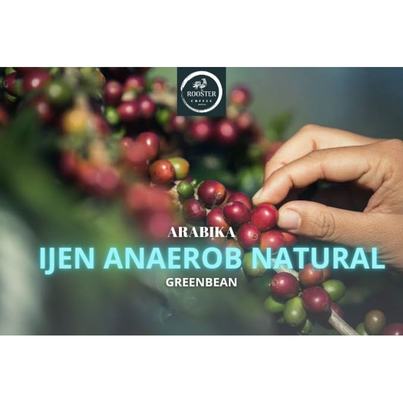 

GREEN BEAN IJEN ANAEROB NATURAL 5KG