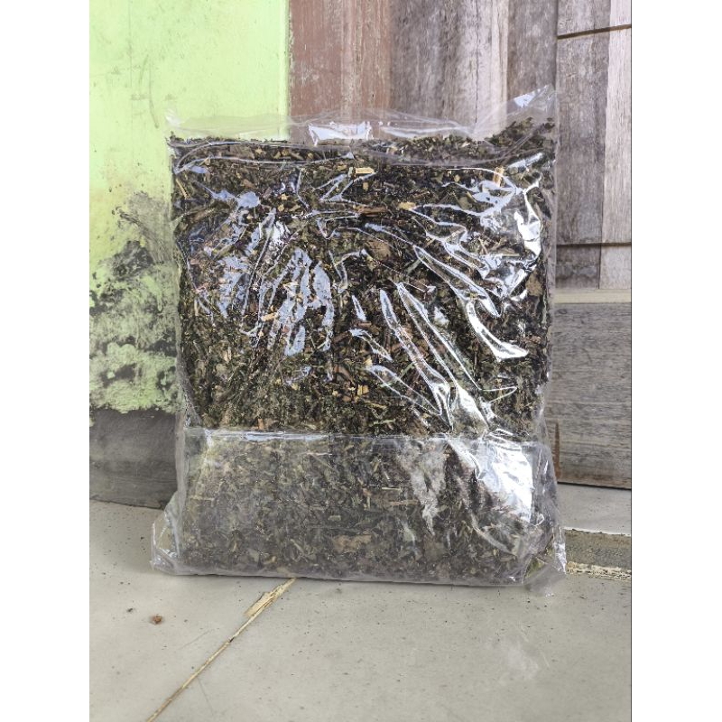 

daun kumis kucing kering 100 gram