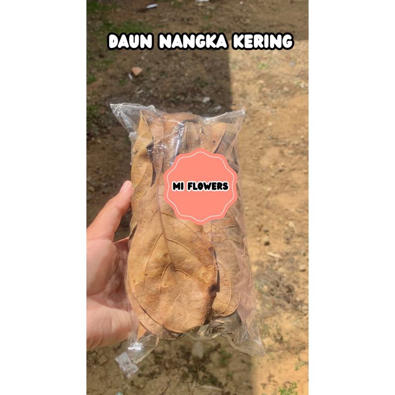 

Daun Nangka Kering Herbal Alami - Miflowers
