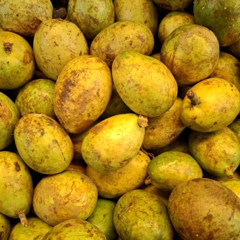 

Matoa Kuning 500gr
