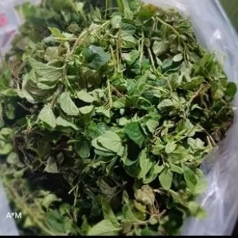 

oregano fresh 50 gram / pack