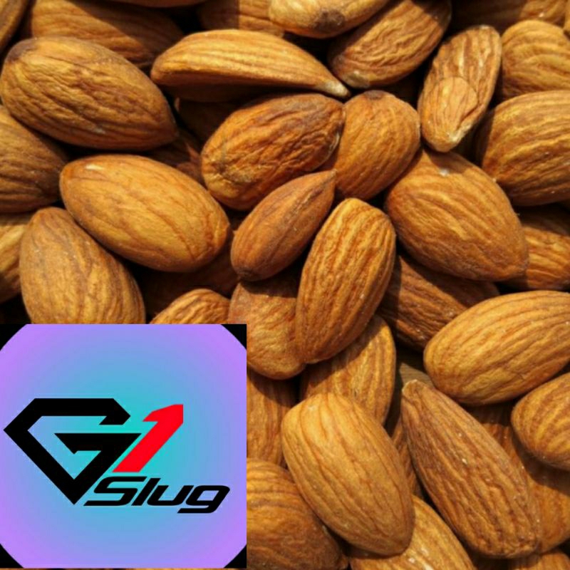 

g1 Kacang almon mentah 13/15.5/18