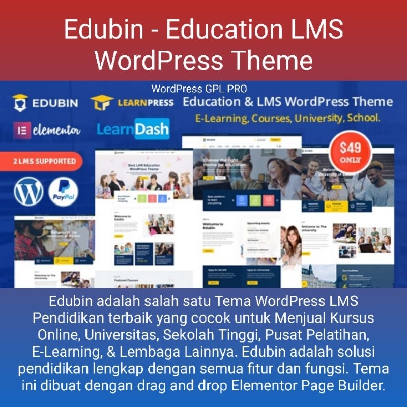 Edubin - Education LMS WordPress Theme