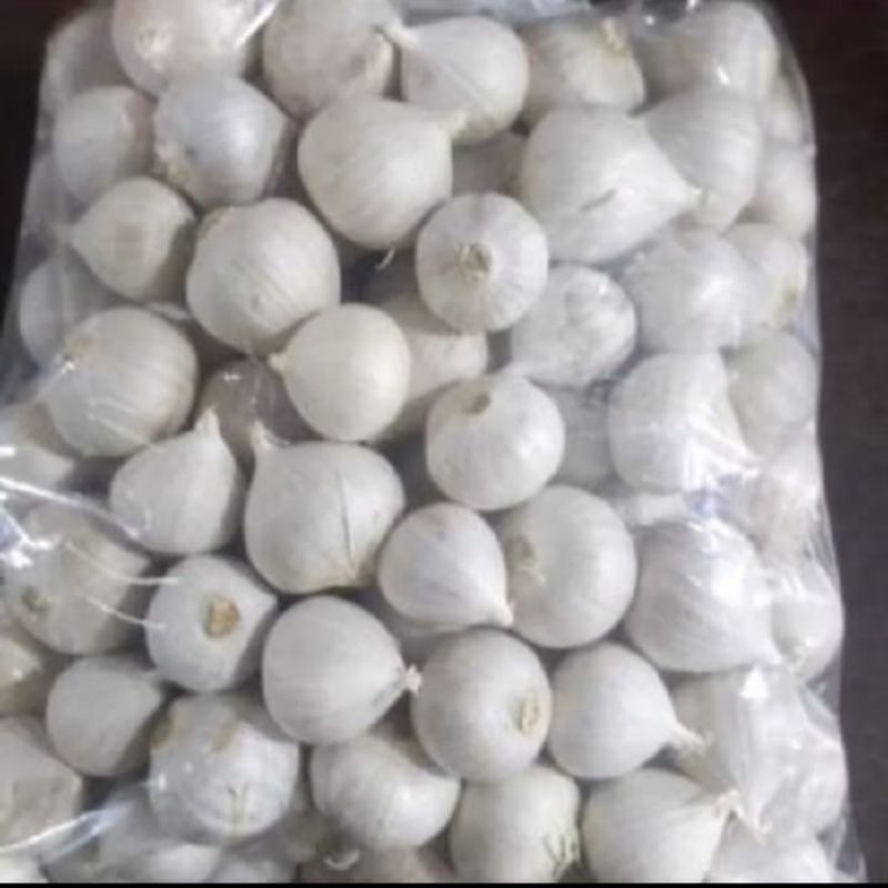 

Bawang Putih Tunggal/Bawang Lanang Impor Fresh 250 gram