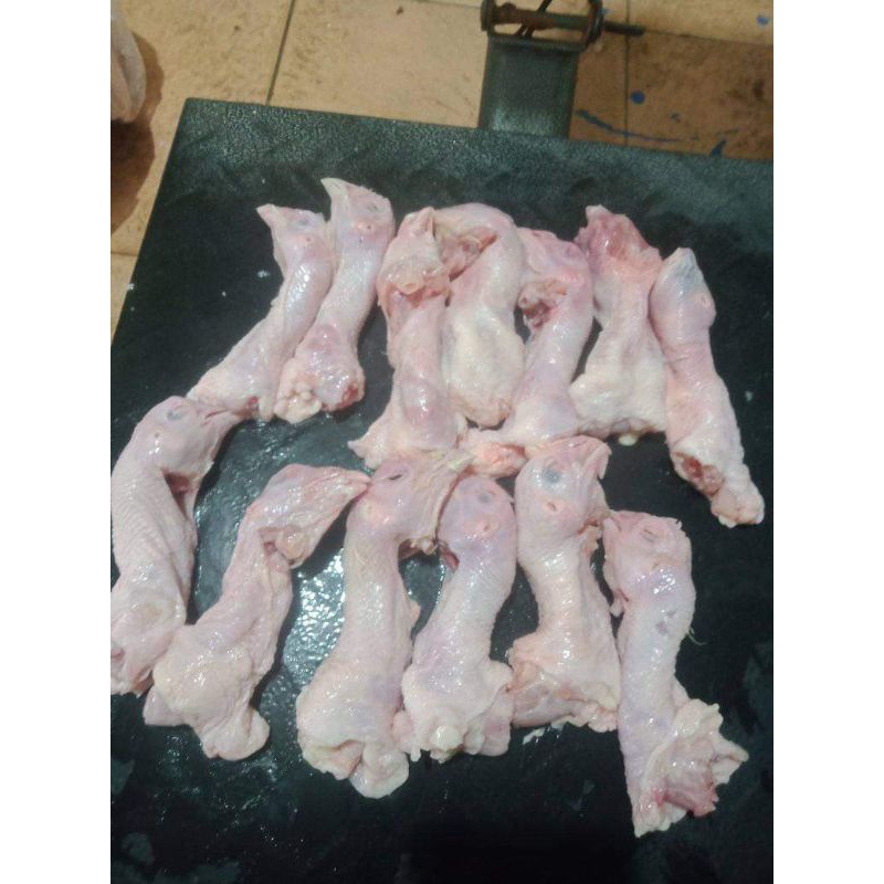 

KEPALA AYAM