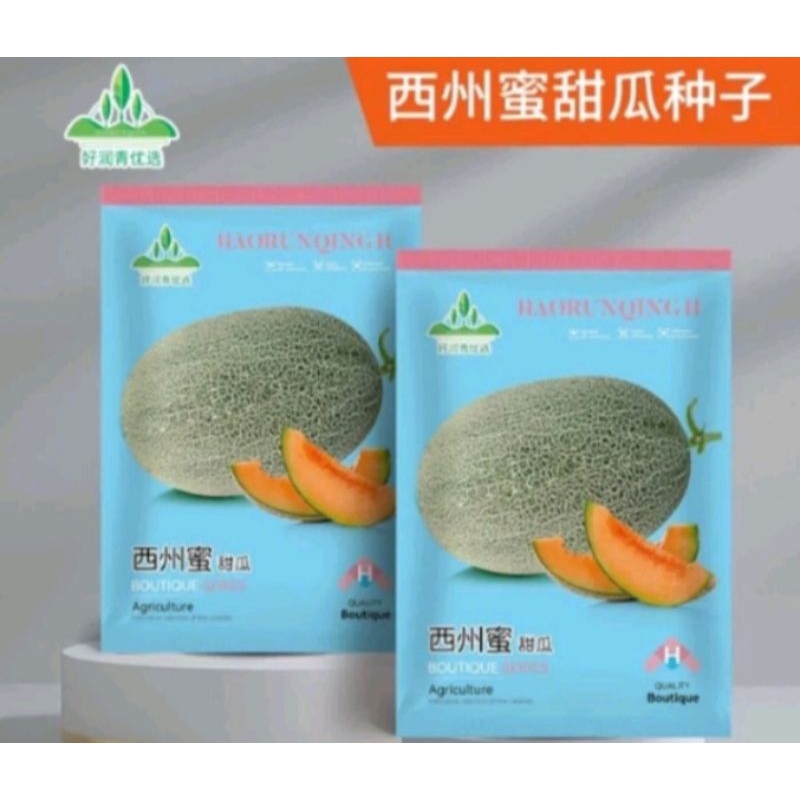 100 Biji Benih Melon Sweet Hami F1 Original