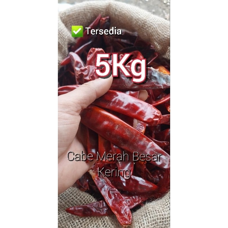 

5Kg CABE MERAH BESAR KERING KUALITAS BAGUS (TIDAK PEDAS)
