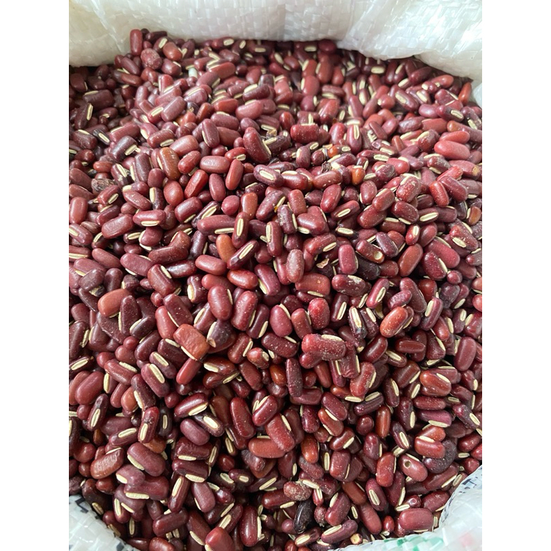 

kacang merah