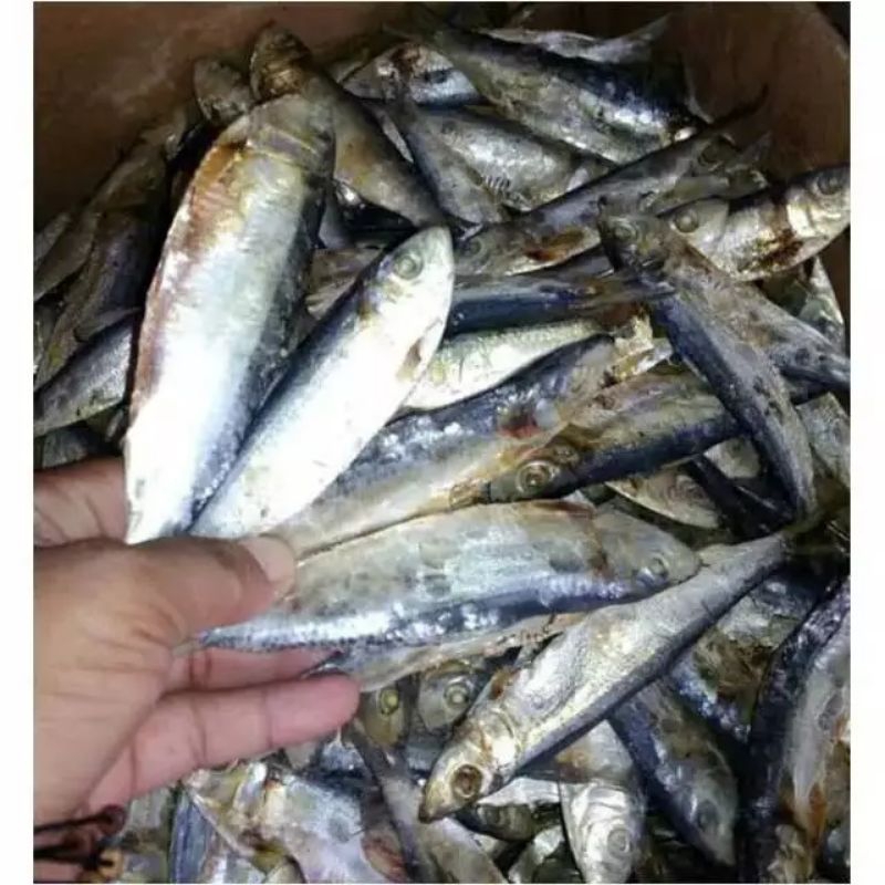 

Ikan asin TAMBAN 500gram